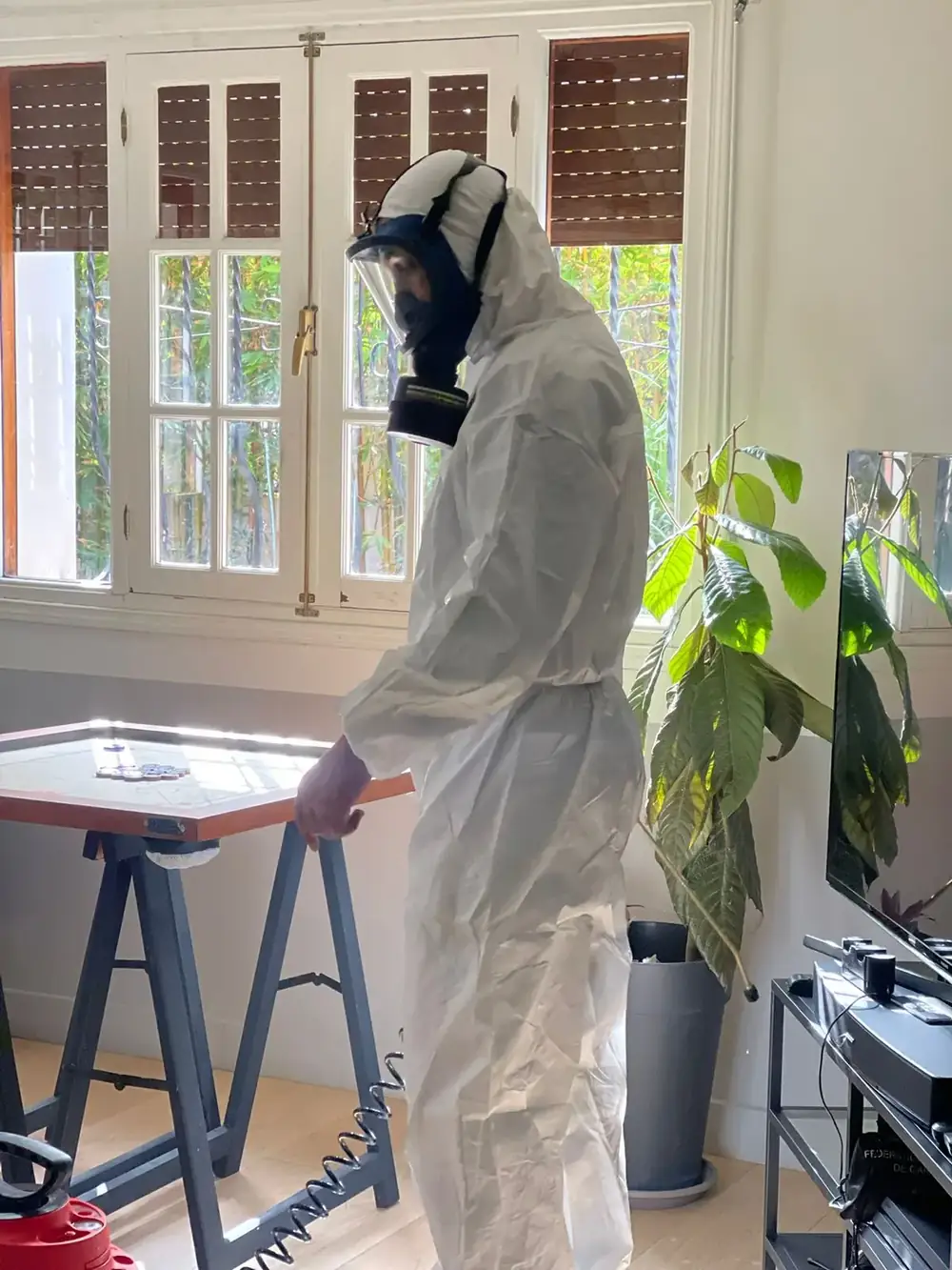 Traitement contre les puces dans une habitation à Rabat