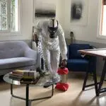 Dératisation Désinsectisation rabat Kénitra Marrakech par raid ecohygiene