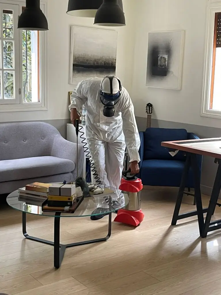 Dératisation Désinsectisation rabat Kénitra Marrakech par raid ecohygiene