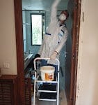 Traitement de bois a rabat Kénitra par raid ecohygiene