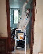 Traitement de bois a rabat Kénitra par raid ecohygiene