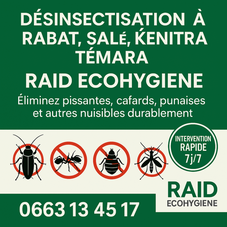 Désinsectisation rabat par raid ecohygiene