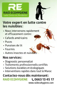 Désinsectisation rabat par raid ecohygiene 1