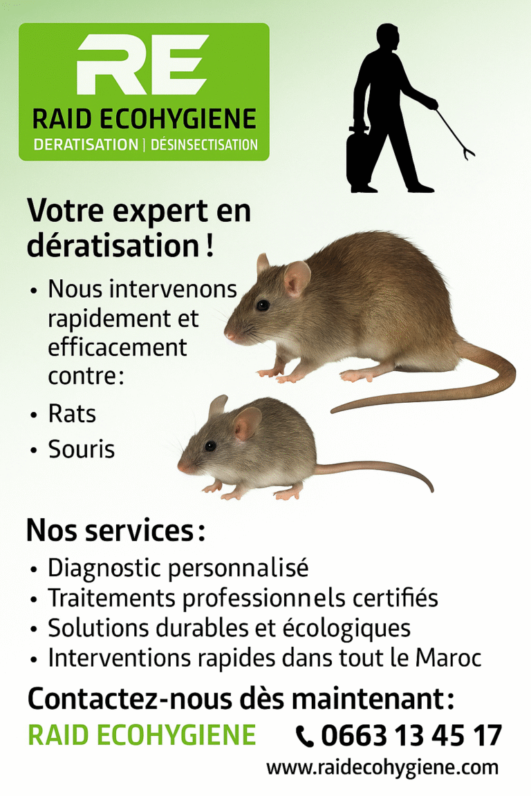 dératisation Marrakech by RAID ECOHYGIENE