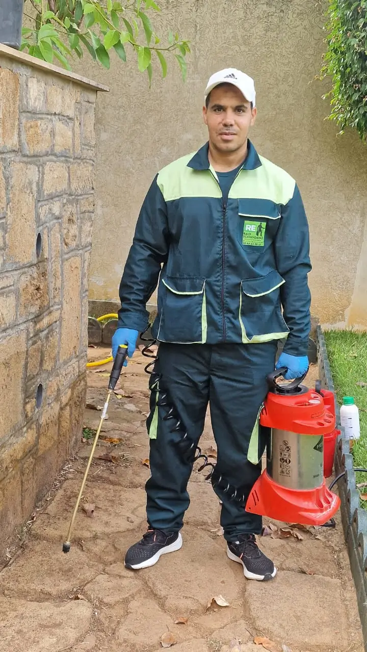 Infestation de nuisibles en hiver au Maroc