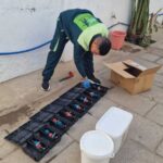 Rongeurs en recherche d'abri