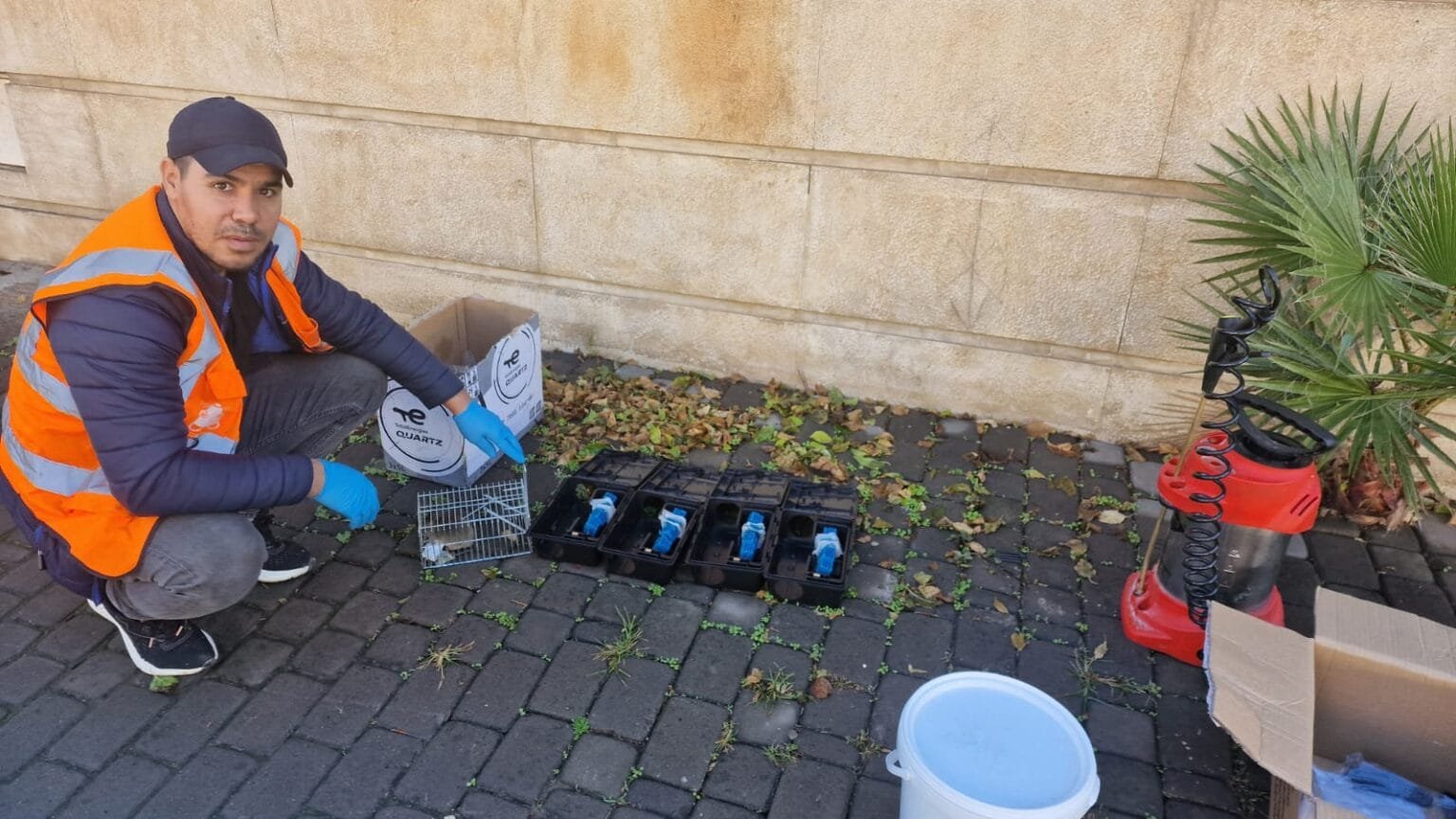 Technicien RAID ECOHYGIENE en intervention de dératisation et désinsectisation à Rabat