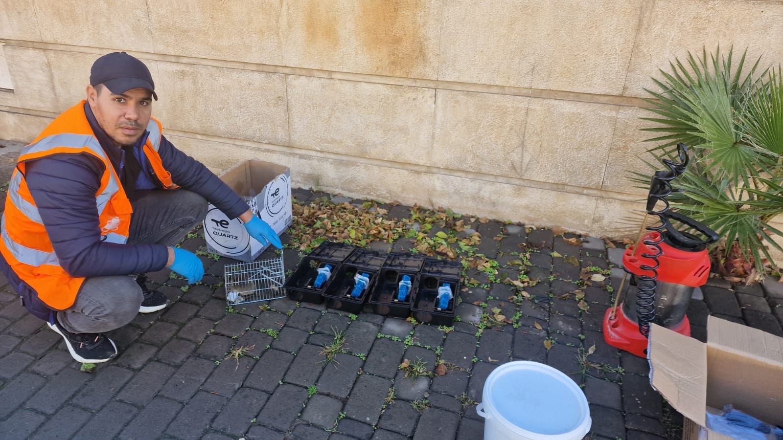 Équipe professionnelle dératisation Rabat certifiée agrément sanitaire