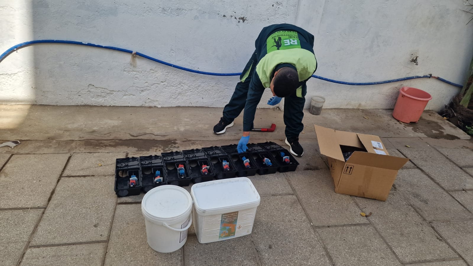 Résultats dératisation Rabat traitement professionnel efficace