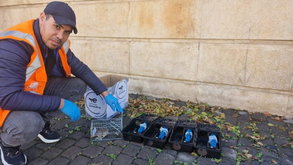 Dératisation à Rabat — technicien RAID Ecohygiène