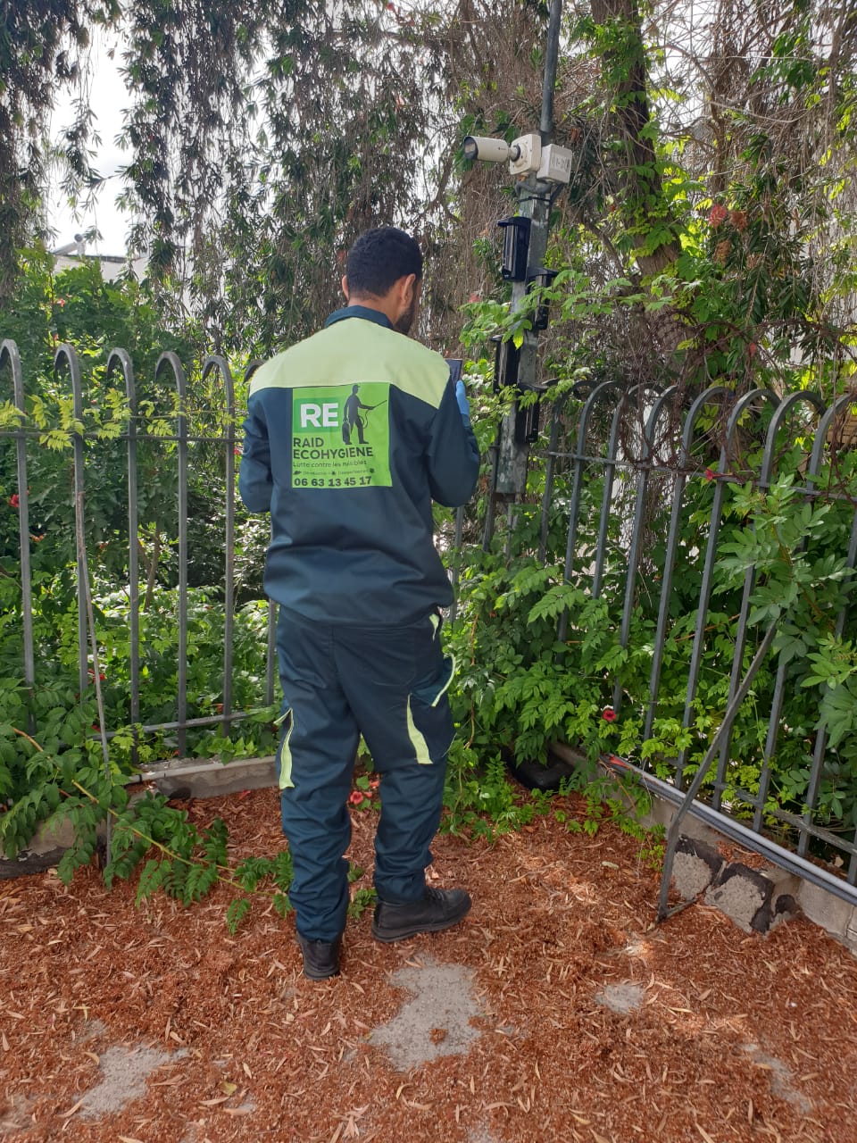 Technicien désinsectisation en intervention à Casablanca — RAID Eco Hygiène