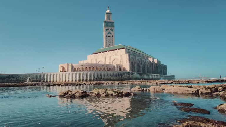 Société de dératisation à Casablanca — RAID ECOHYGIENE intervention professionnelle Certibiocide