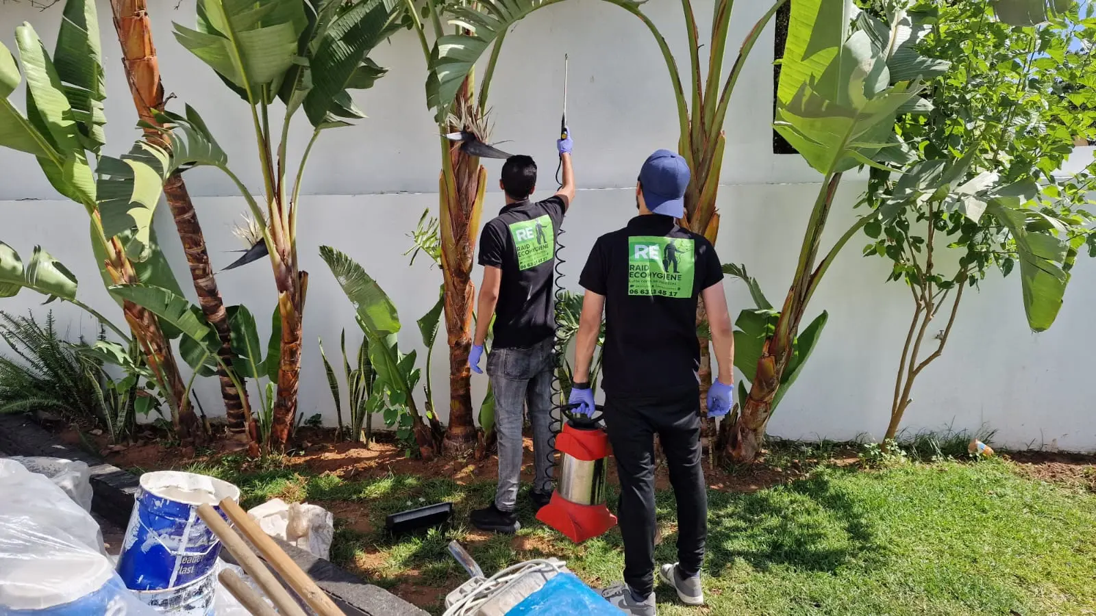 RAID ECOHYGIENE — traitement d'un jardin contre les nuisibles à Rabat
